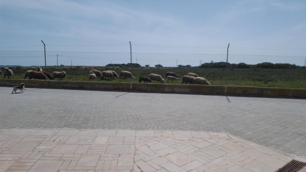 Abrigo Das Nortadas Vila do Bispo Exterior photo